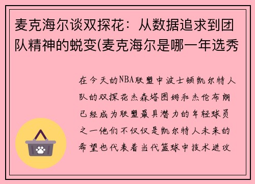 麦克海尔谈双探花：从数据追求到团队精神的蜕变(麦克海尔是哪一年选秀)